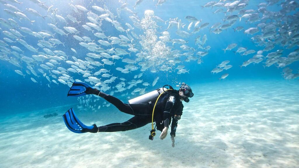 Diving in Lanzarote