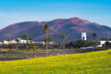 A Spring Walk in Lanzarote