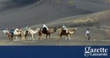 Lanzarote Camel Breeders Association respond to criticism